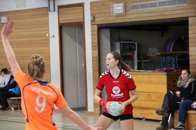 2017_01_08 Landesliga Frauen u. J19